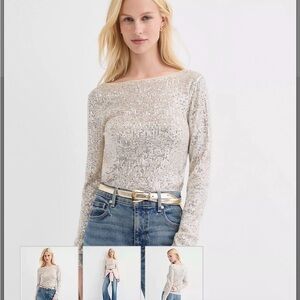 LOFT Silver Sequin Long Sleeve Top